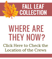 Leaf Collection App