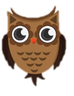 Brown Owl