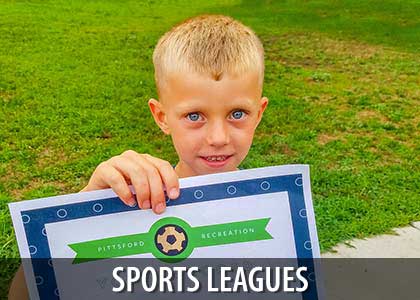 sports Leagues